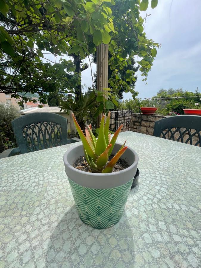 卡塔琳娜公寓酒店 Petrovac 外观 照片